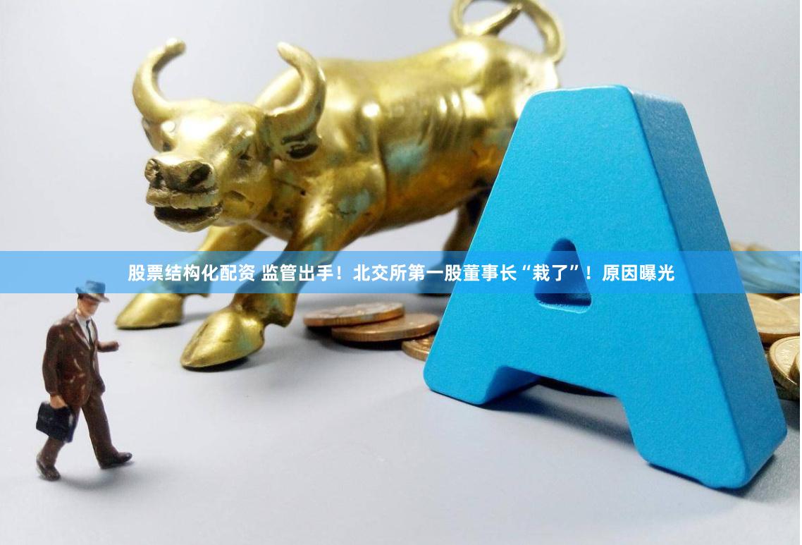 股票结构化配资 监管出手!北交所第一股董事长“栽了”!原因曝光