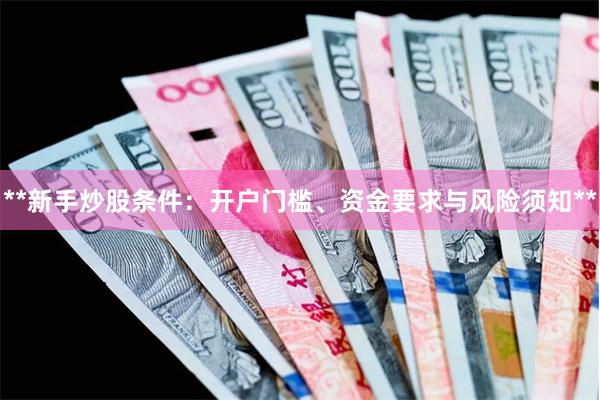 **新手炒股条件：开户门槛、资金要求与风险须知**